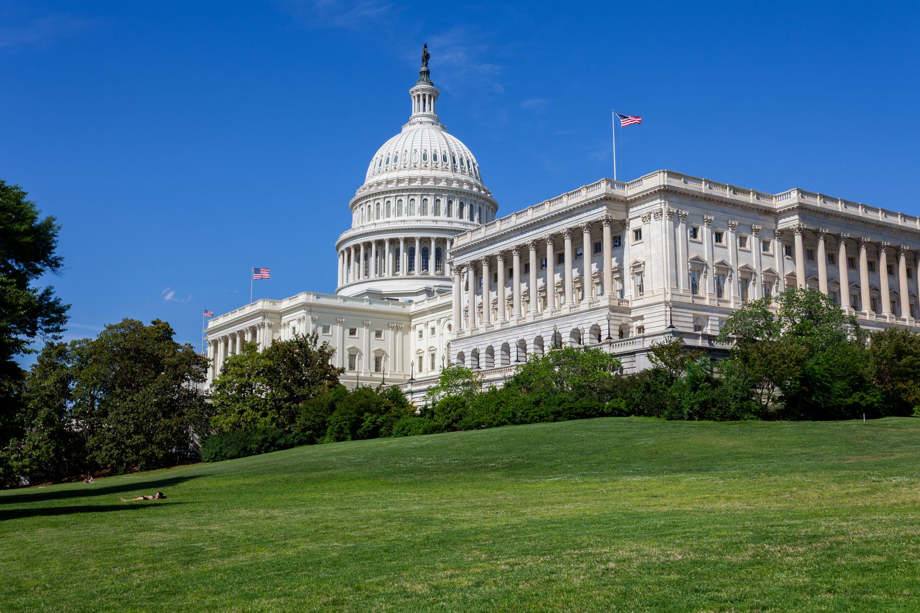 Pelosi Bought Millions, Then a Securities Fraud Suit Named the CEO, Then Two Former Fortune-500 CEOs on the Board Sold